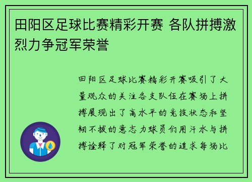 田阳区足球比赛精彩开赛 各队拼搏激烈力争冠军荣誉