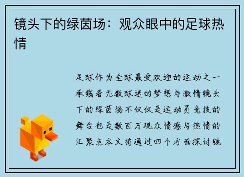 镜头下的绿茵场：观众眼中的足球热情