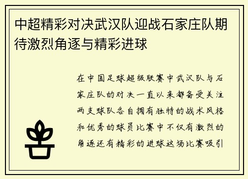 中超精彩对决武汉队迎战石家庄队期待激烈角逐与精彩进球